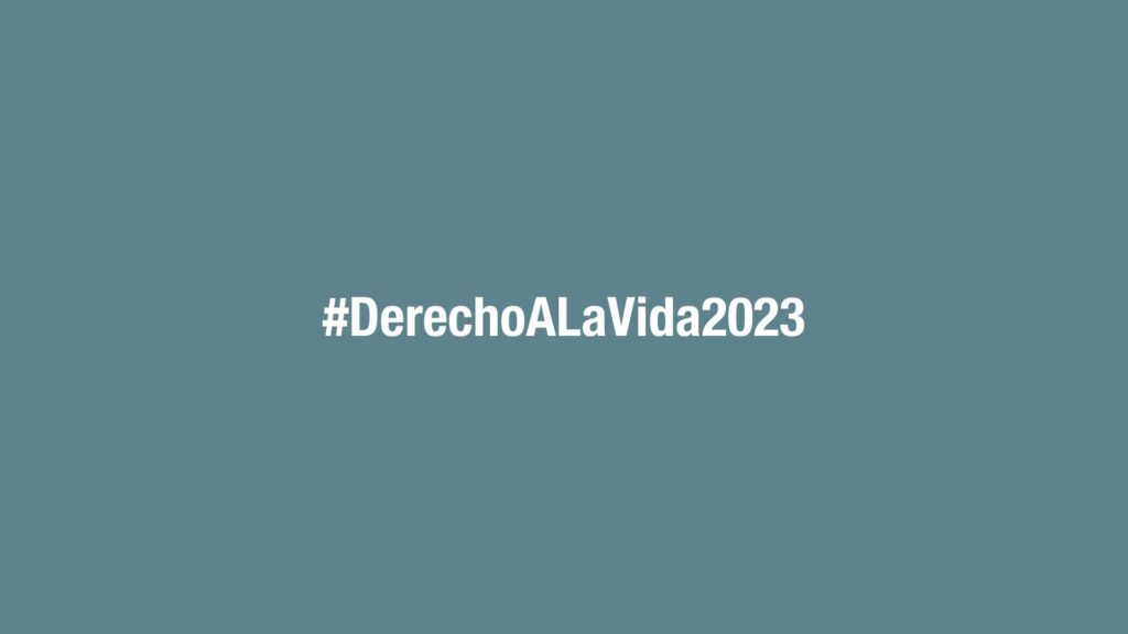 INFORME MONITOREO DEL DERECHO A LA VIDA – AÑO 2023