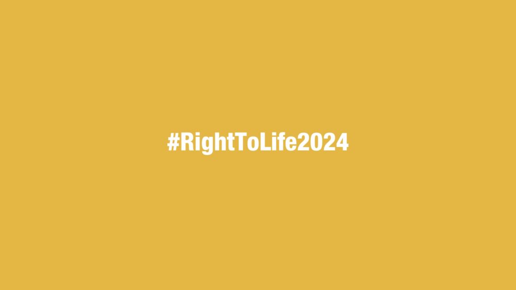 Monitoring the Right to Life – 2024